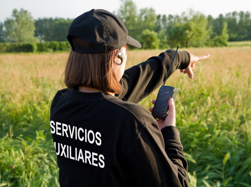 serviciosauxiliares